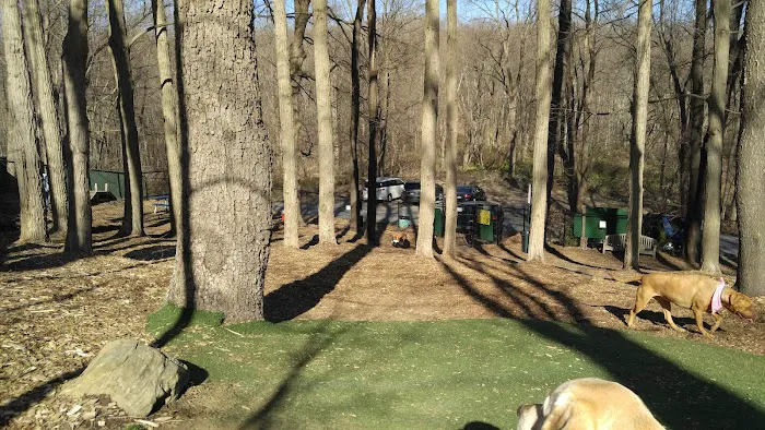 Sycamore Bark Park 1