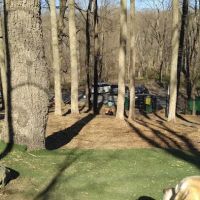 Sycamore Bark Park ico