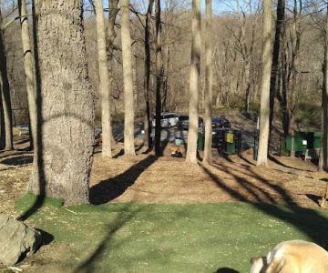 Sycamore Bark Park