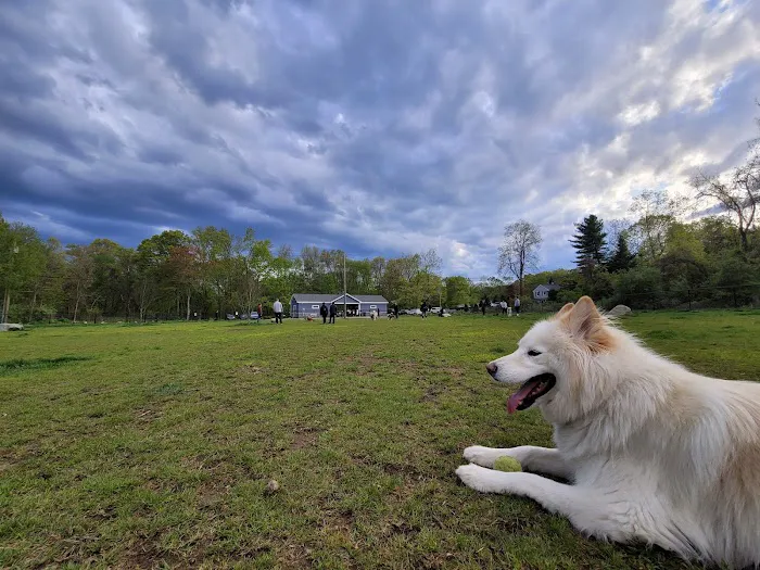 Eisenhower Dog Park 2