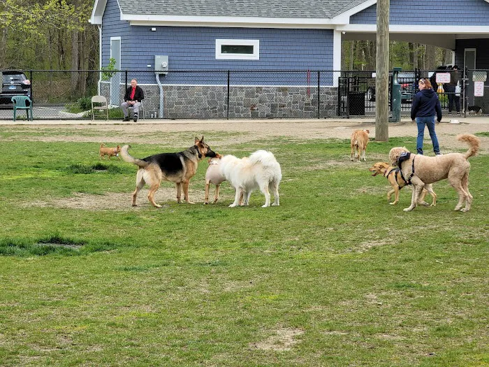 Eisenhower Dog Park 1