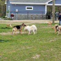 Eisenhower Dog Park ico