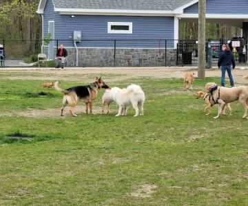 Eisenhower Dog Park