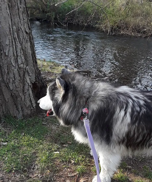 Eisenhower Dog Park 8