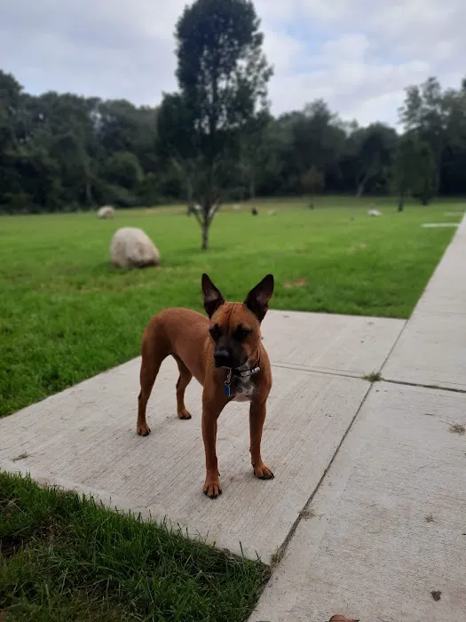 Eisenhower Dog Park 4