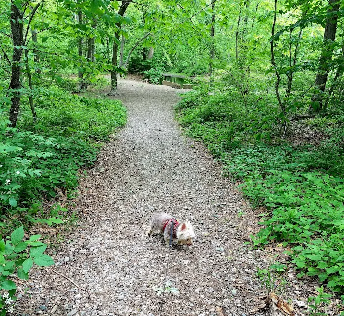 Eisenhower Dog Park 9