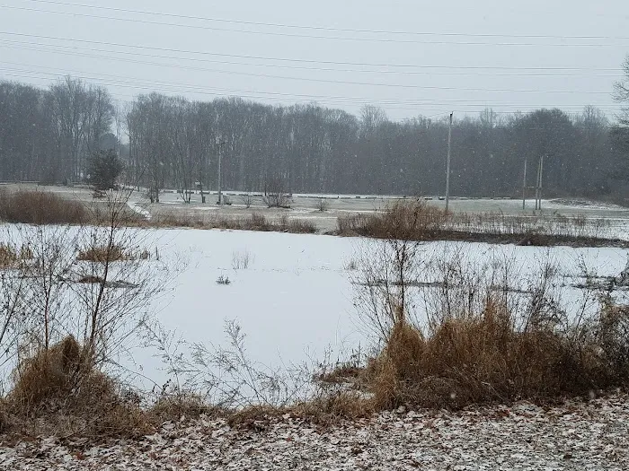 Eisenhower Dog Park 10