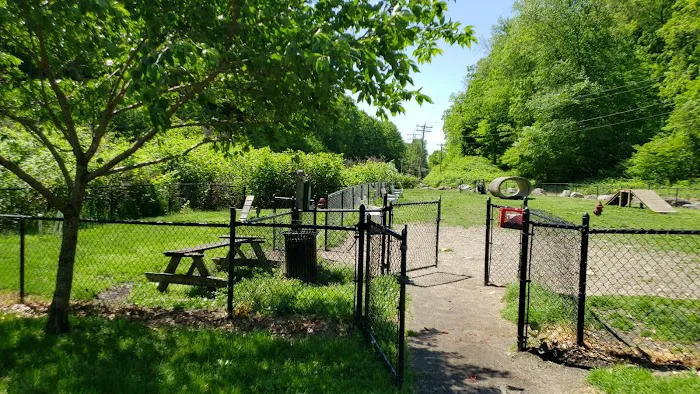 Derby & Ansonia Dog Park 3