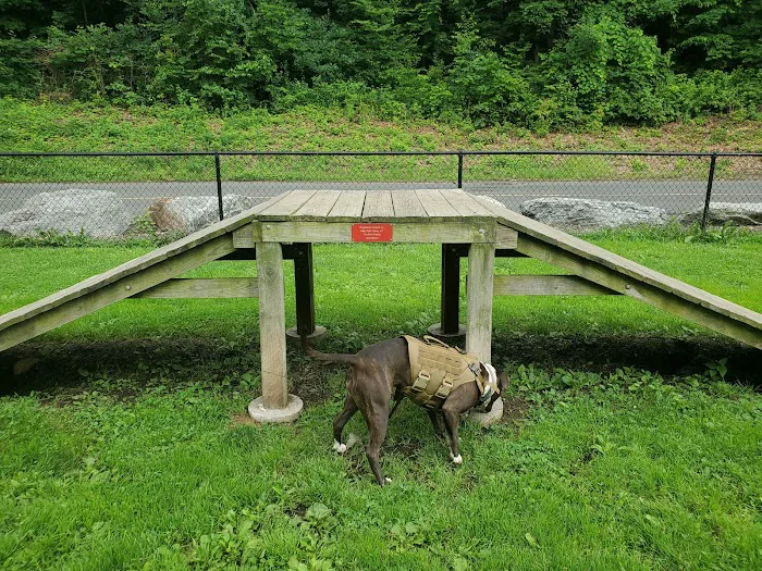 Derby & Ansonia Dog Park 6
