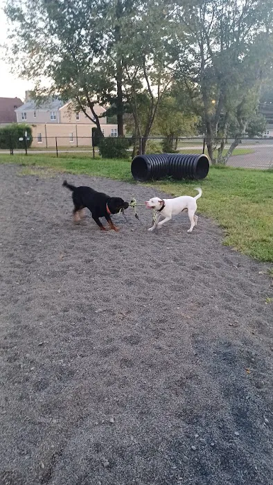 Veterans Memorial Dog Park 10