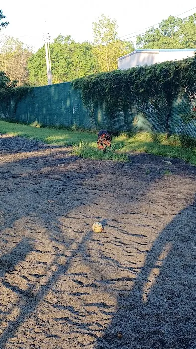 Veterans Memorial Dog Park 3