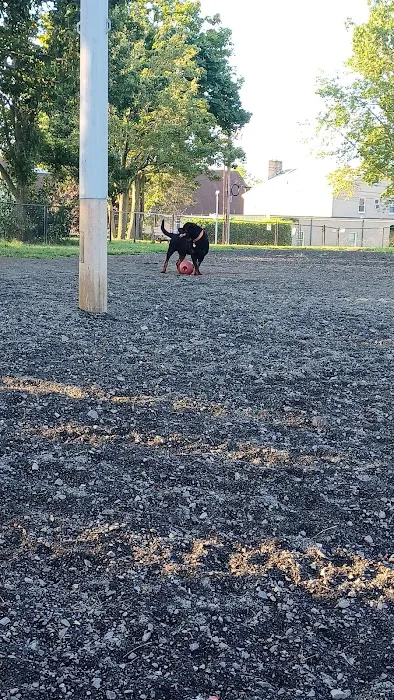 Veterans Memorial Dog Park 4