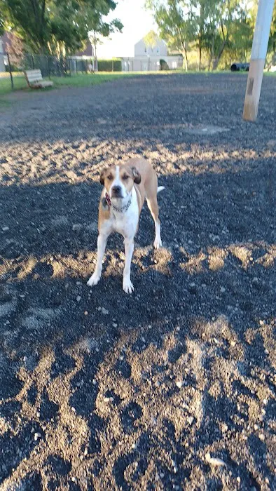 Veterans Memorial Dog Park 7