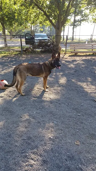 Veterans Memorial Dog Park 6