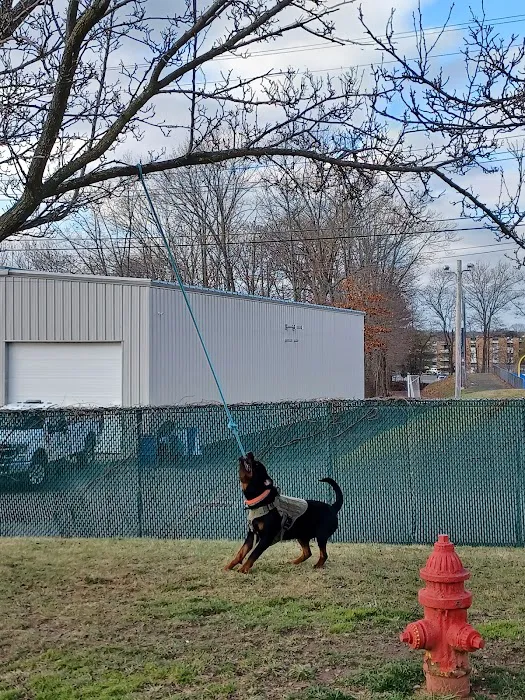Veterans Memorial Dog Park 5