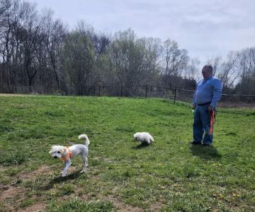 Woodbridge Dog Park