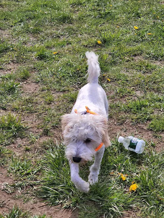 Woodbridge Dog Park 7