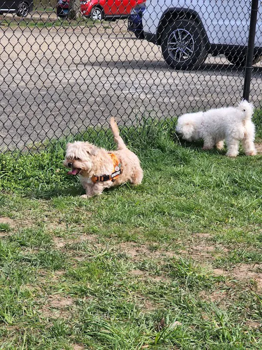 Woodbridge Dog Park 4