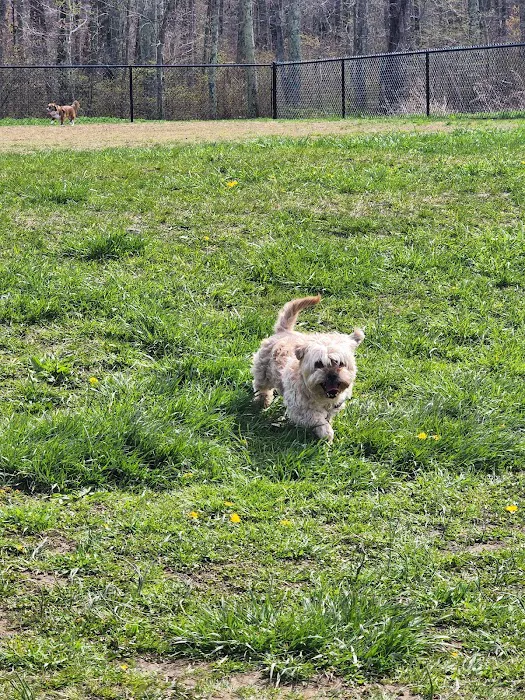 Woodbridge Dog Park 8