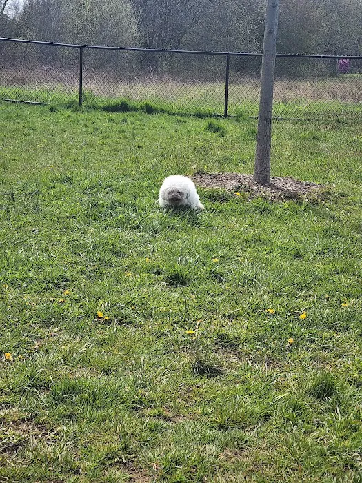 Woodbridge Dog Park 2