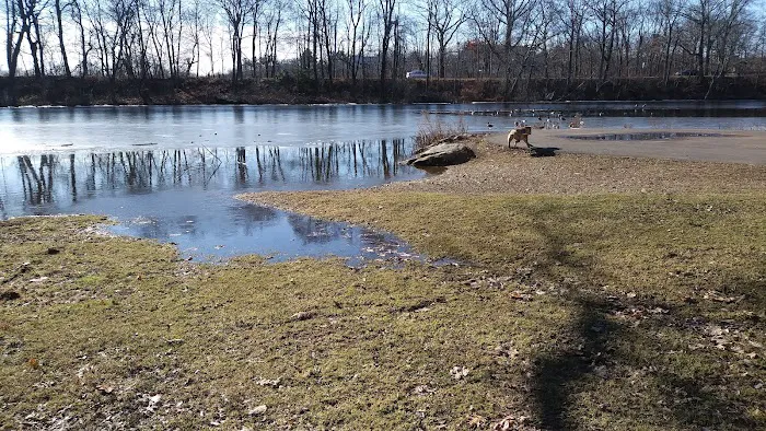 Edgewood Park Dog Park 1