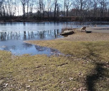 Edgewood Park Dog Park