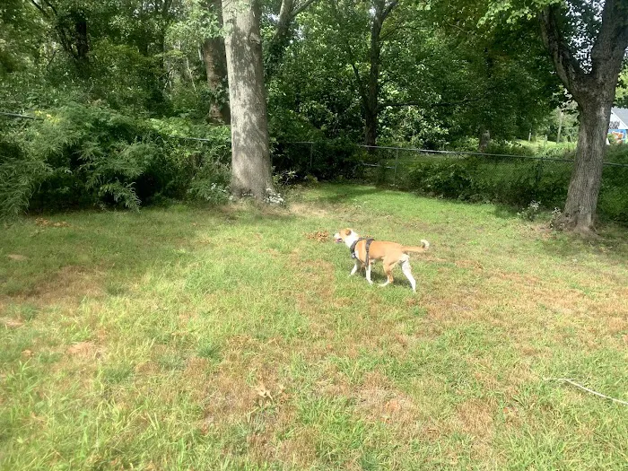 Edgewood Park Dog Park 7