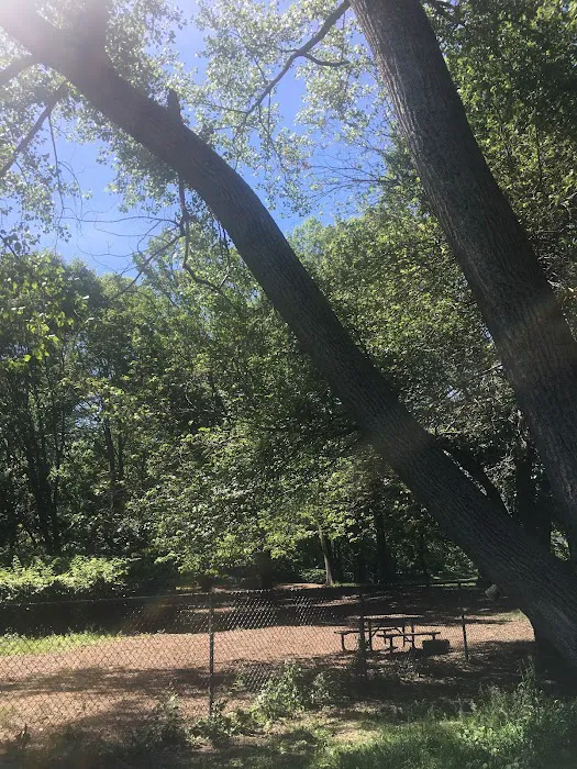 Edgewood Park Dog Park 8