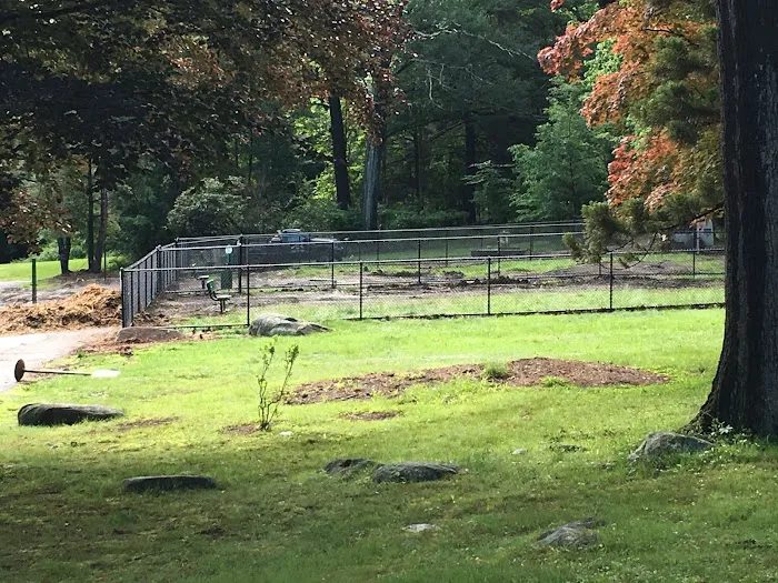 Dog Park 2