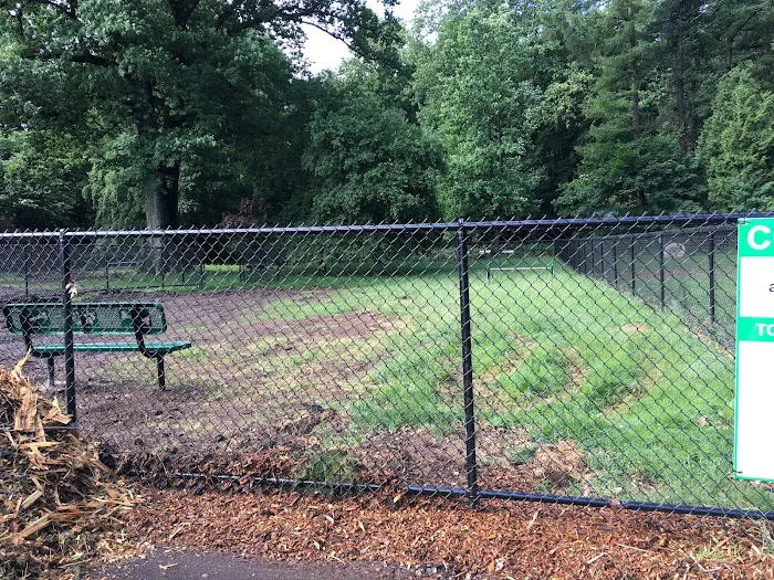 Dog Park 4