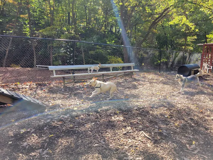 Peekskill Dog Park 7