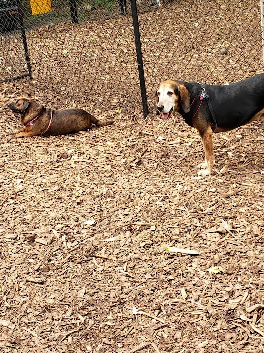 Peekskill Dog Park 9