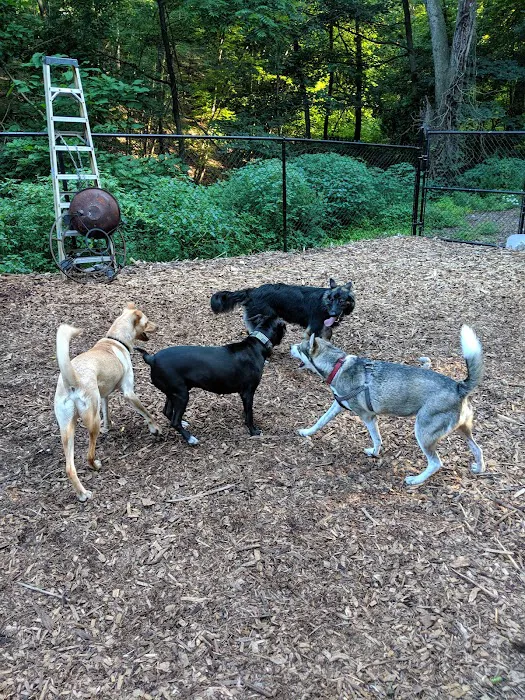 Peekskill Dog Park 5