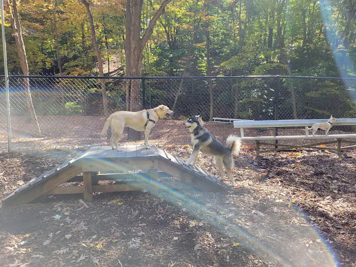 Peekskill Dog Park 4