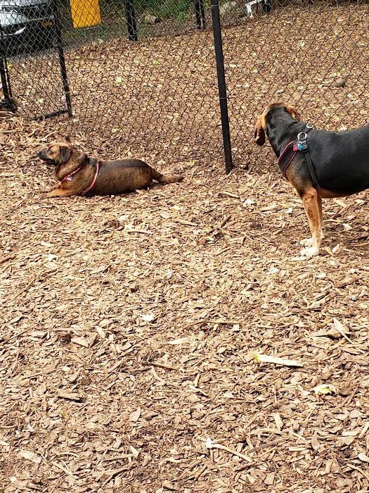 Peekskill Dog Park 6