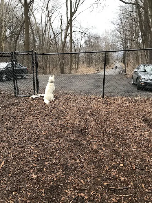 Peekskill Dog Park 10