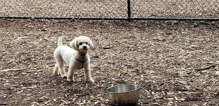 Peekskill Dog Park 3