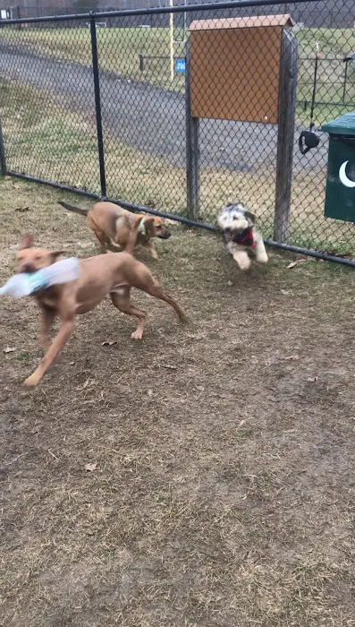 Putnam Valley Dog Park 2