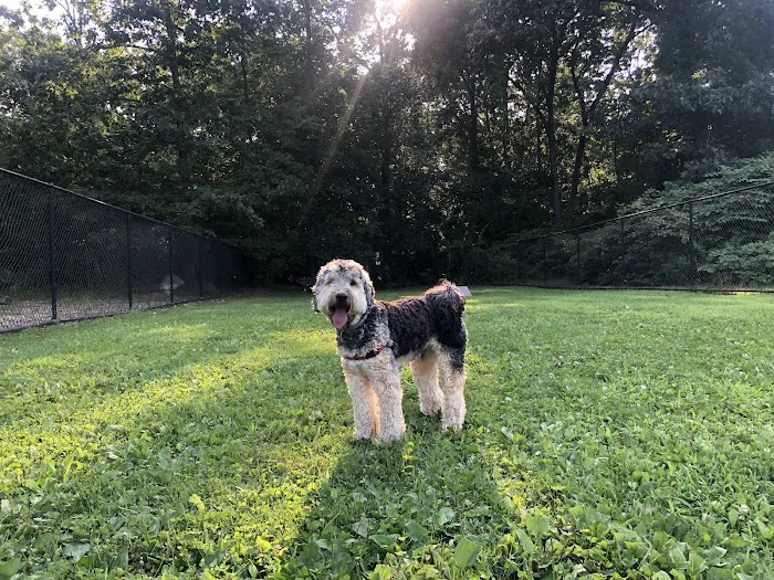 Putnam Valley Dog Park 3
