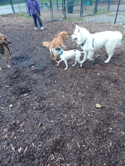 Putnam Valley Dog Park 1
