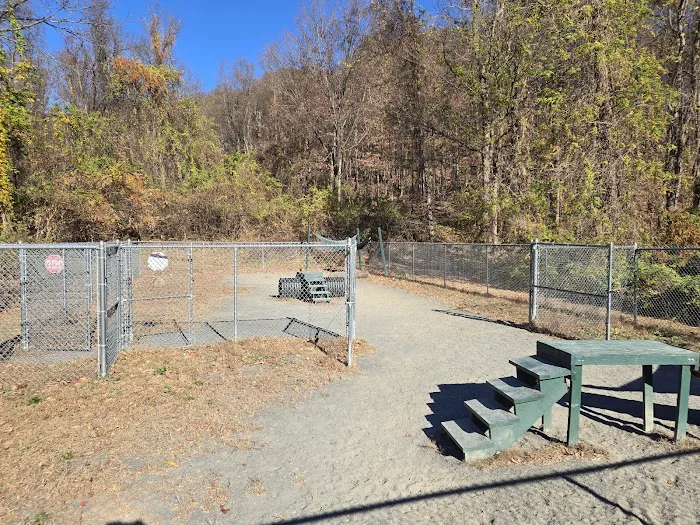 Dog park 1