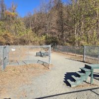 Dog park ico