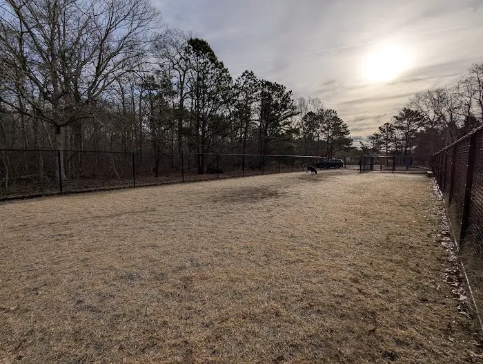 Dog Park 1