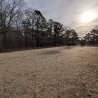 Dog Park ico