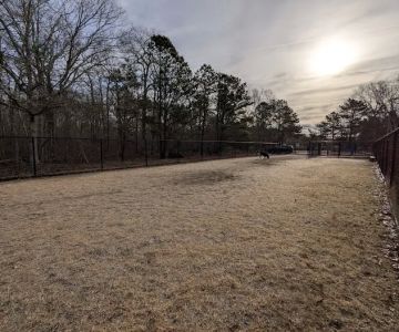 Dog Park