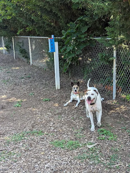 Southold Dog Park 10