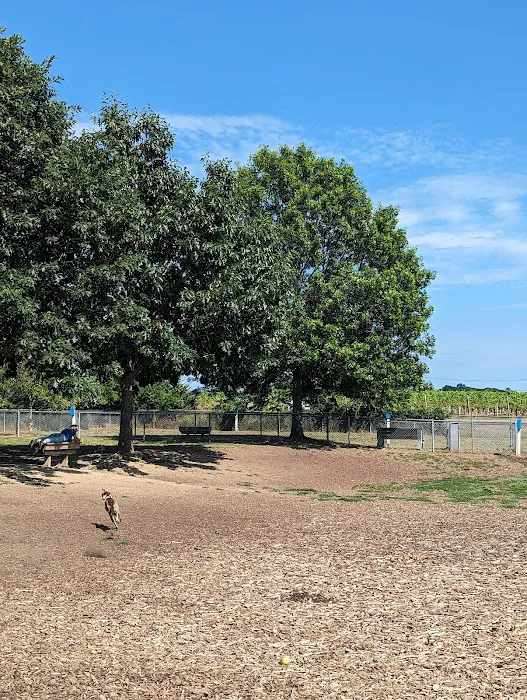 Southold Dog Park 9