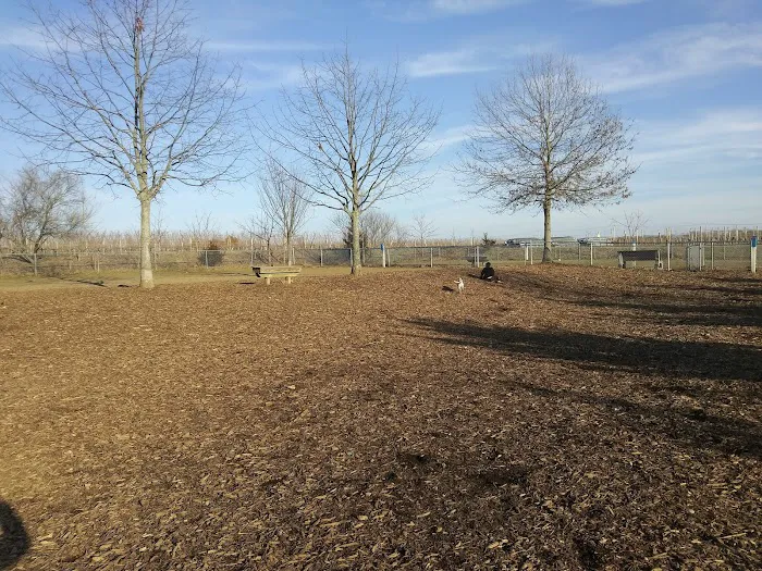 Southold Dog Park 3