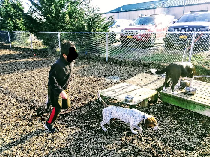 Southold Dog Park 5