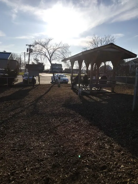 Southold Dog Park 1